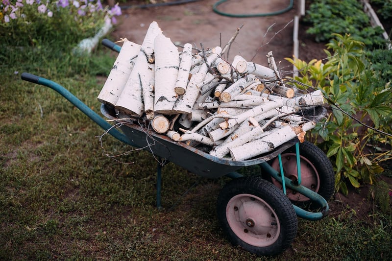Online Gardening Forum